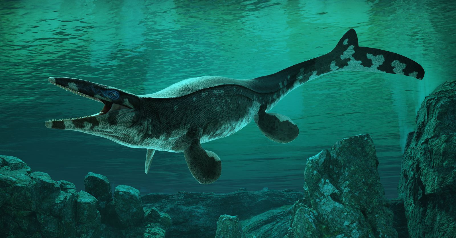 Paleontologists Discover an Ancient Marine Reptile They've Dubbed the T. Rex of the Sea, Crowning Another King of the Cretaceous