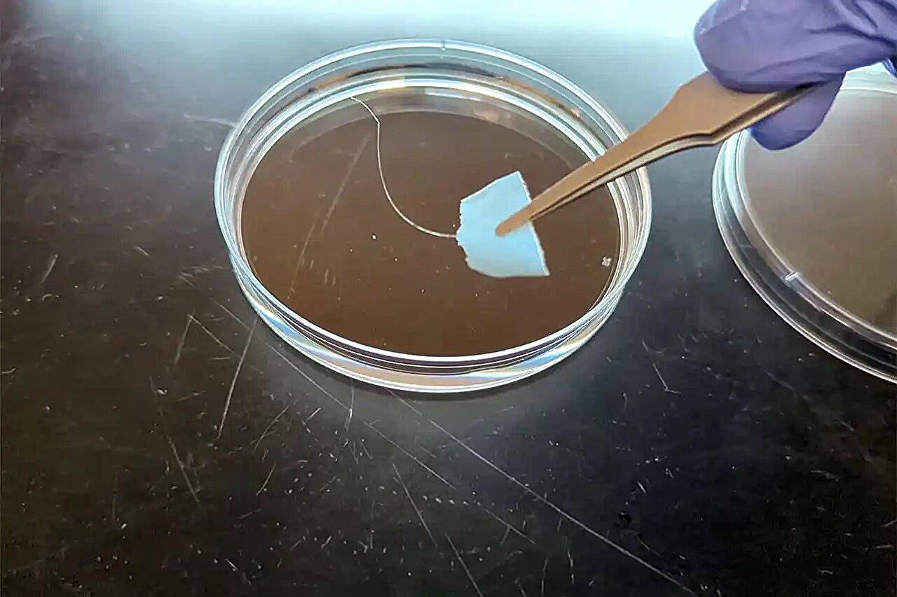 New recyclable protein textiles could cut microplastic pollution and lower clothing waste